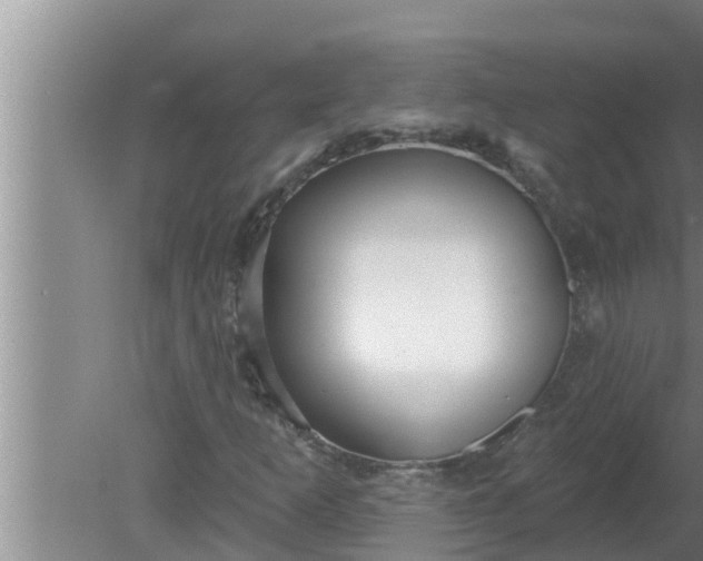 X0000080131253200612221848