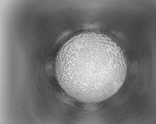 X0000080131254200612221848