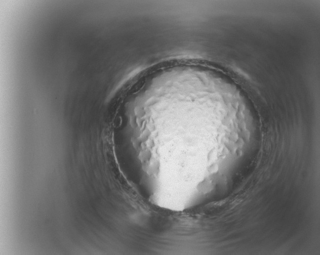 X0000080131255200612221848