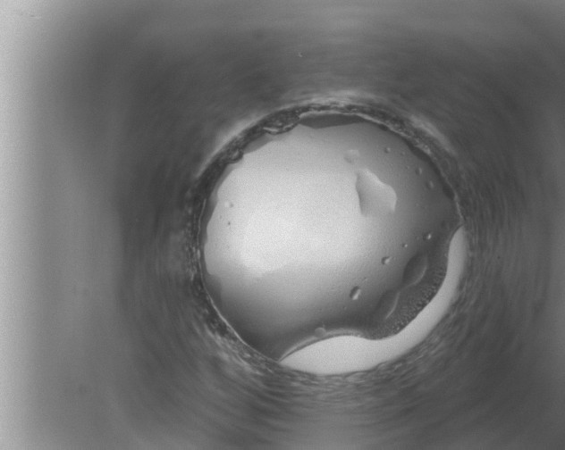 X0000080131256200612221848