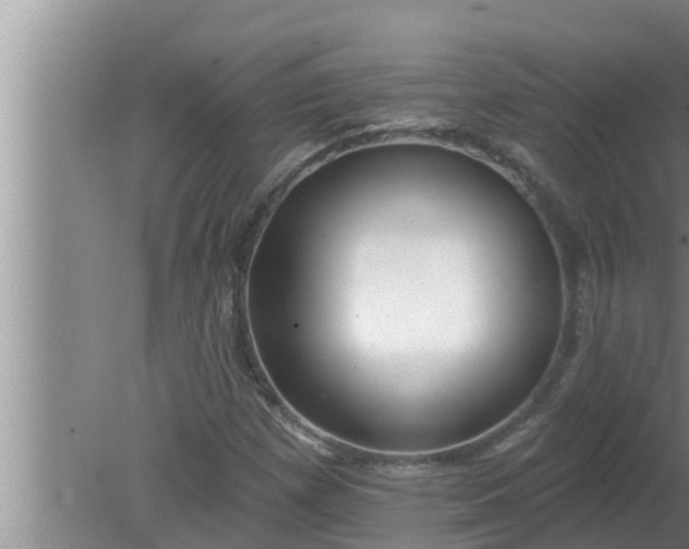 X0000080131257200612221848