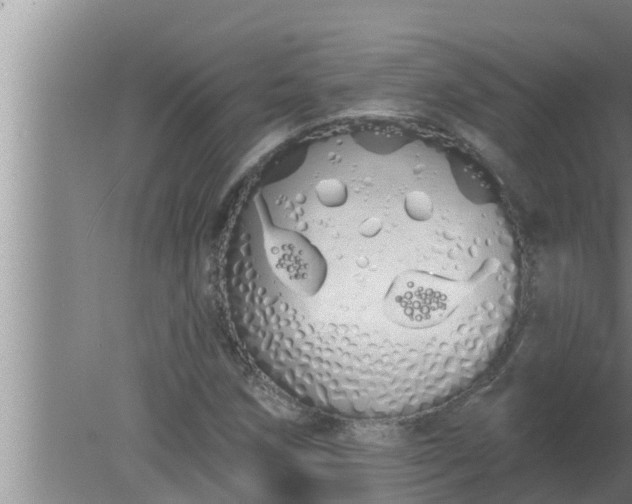 X0000080131258200612221848