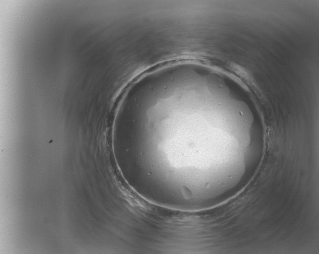 X0000080131260200612221848