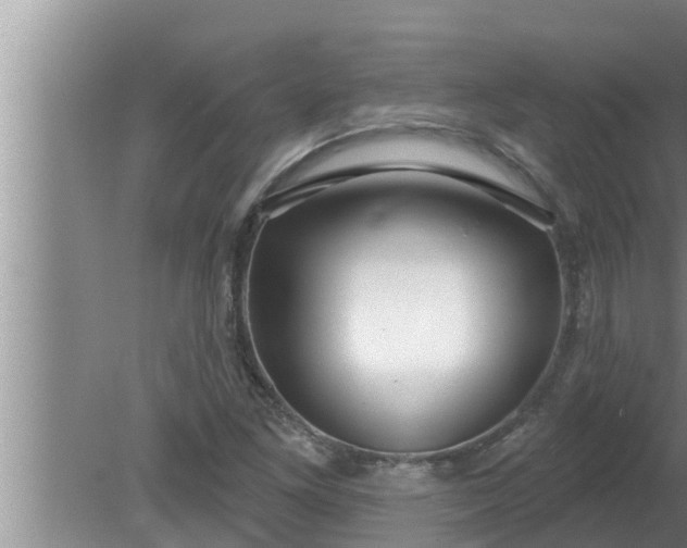 X0000080131261200612221848