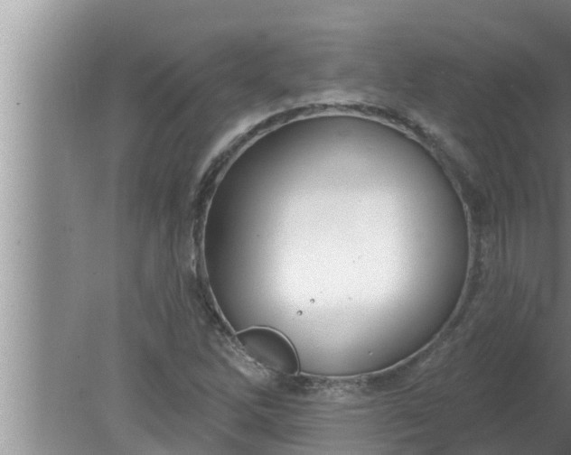 X0000080131262200612221848