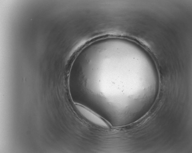 X0000080131263200612221848