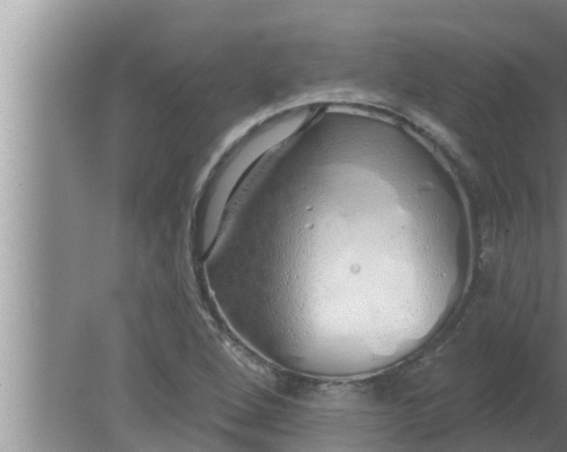 X0000080131264200612221848