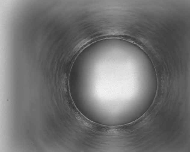 X0000080131265200612221848