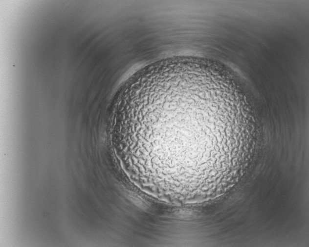 X0000080131266200612221848