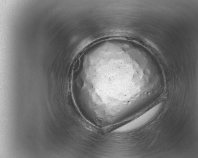 X0000080131267200612221848