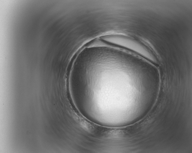 X0000080131268200612221848