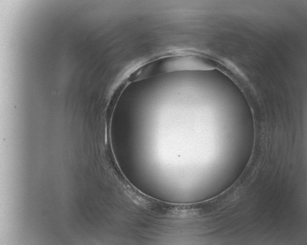 X0000080131269200612221848