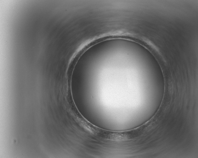 X0000080131270200612221848