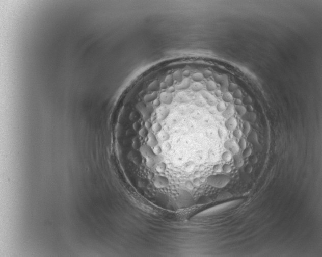 X0000080131271200612221848