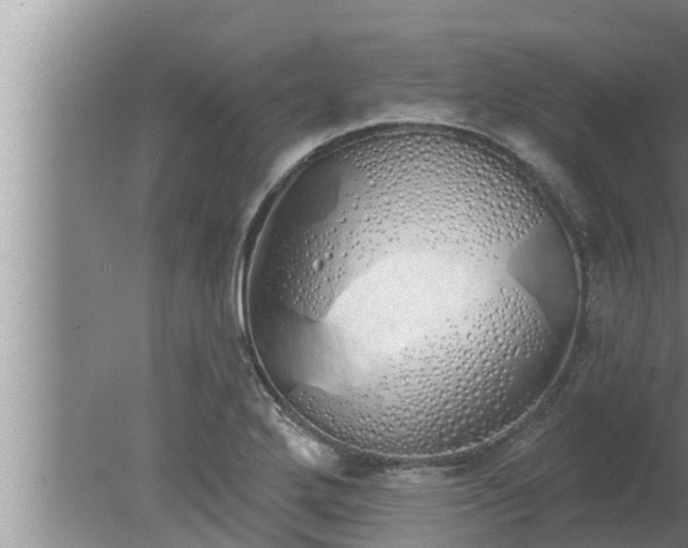 X0000080131272200612221848