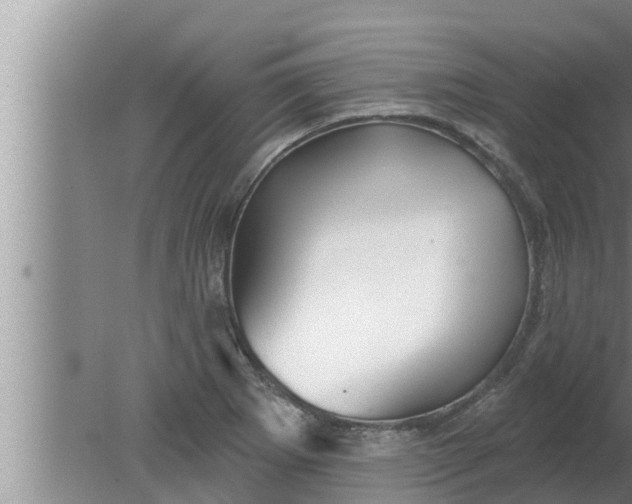 X0000080131273200612221848