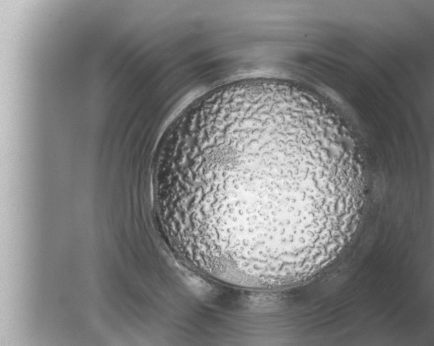 X0000080131274200612221848