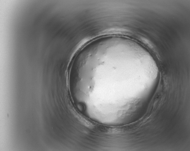 X0000080131275200612221848