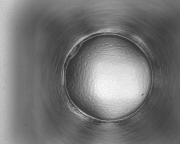 X0000080131276200612221848