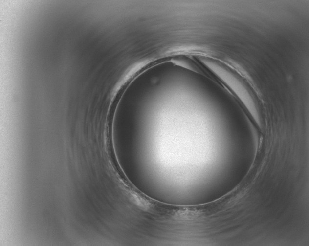 X0000080131277200612221848