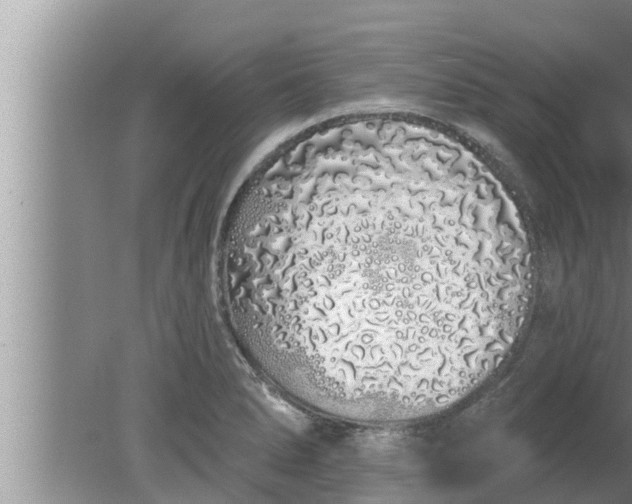 X0000080131278200612221848