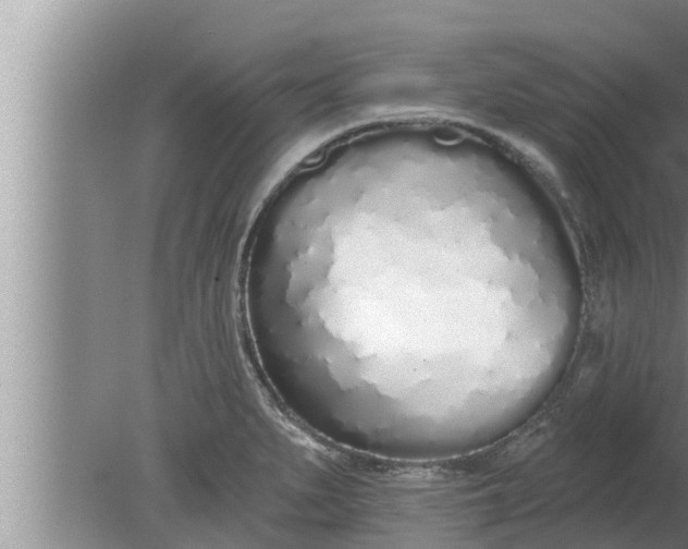 X0000080131279200612221848