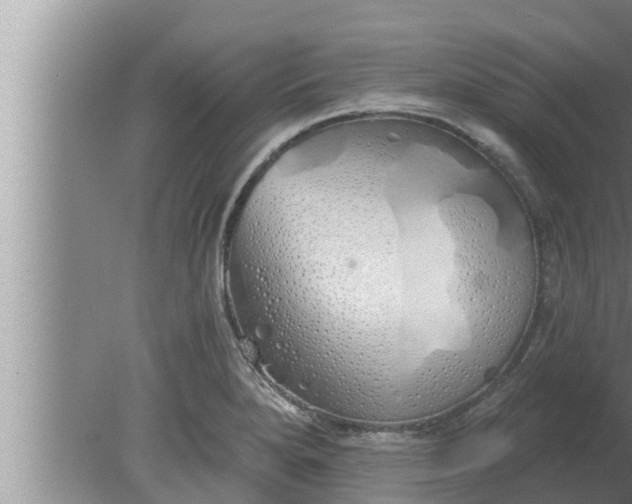 X0000080131280200612221848