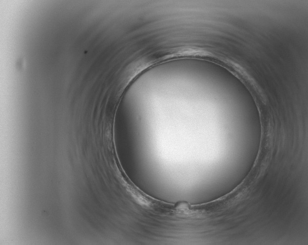 X0000080131281200612221848