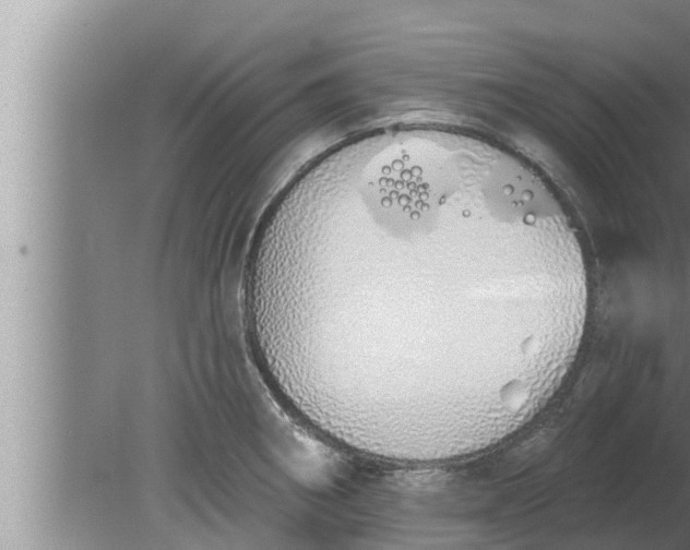 X0000080131282200612221848