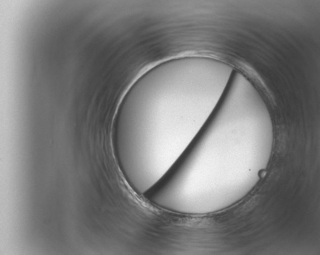 X0000080131284200612221848