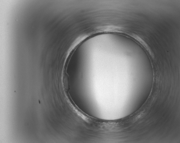 X0000080131285200612221847