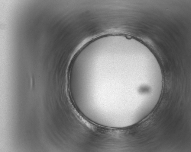 X0000080131286200612221847