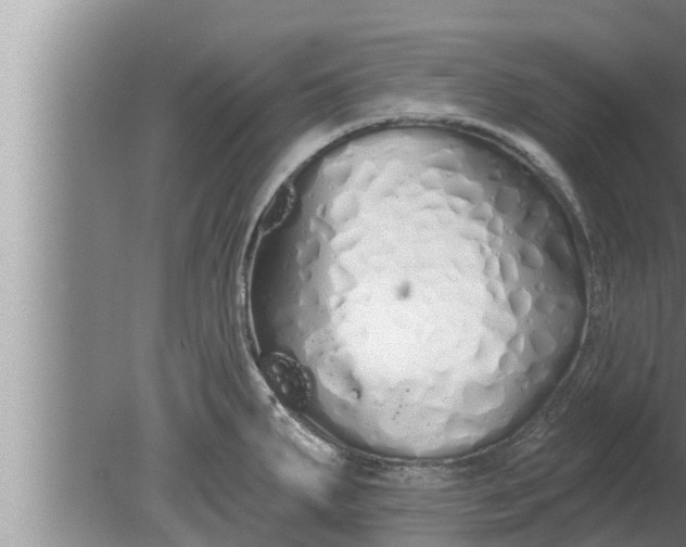 X0000080131287200612221847