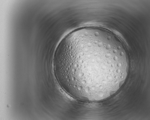 X0000080131288200612221847