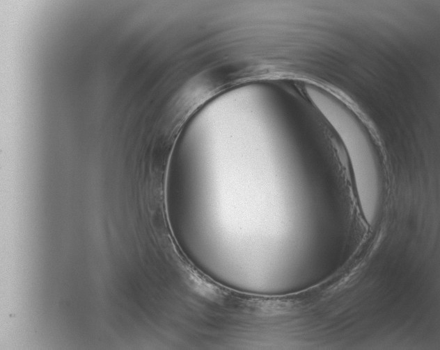 X0000080131289200612221847