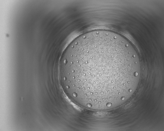 X0000080131290200612221847