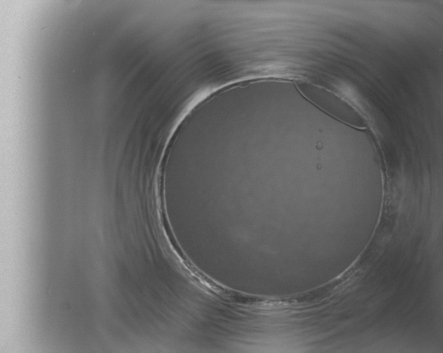 X0000080131291200612221847