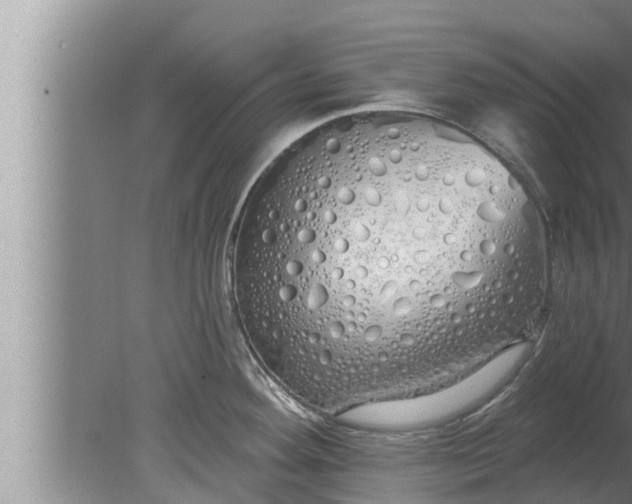 X0000080131292200612221847