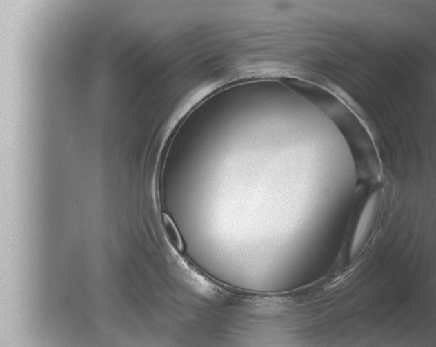 X0000080131293200612221847