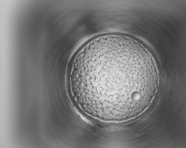 X0000080131294200612221847