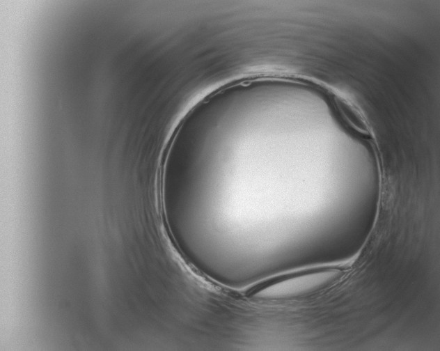 X0000080131295200612221847