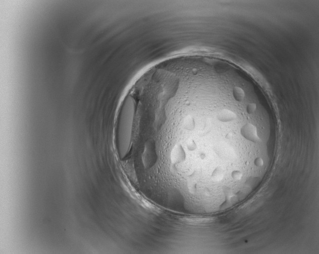 X0000080131296200612221847