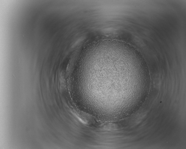 X0000080131298200612221847