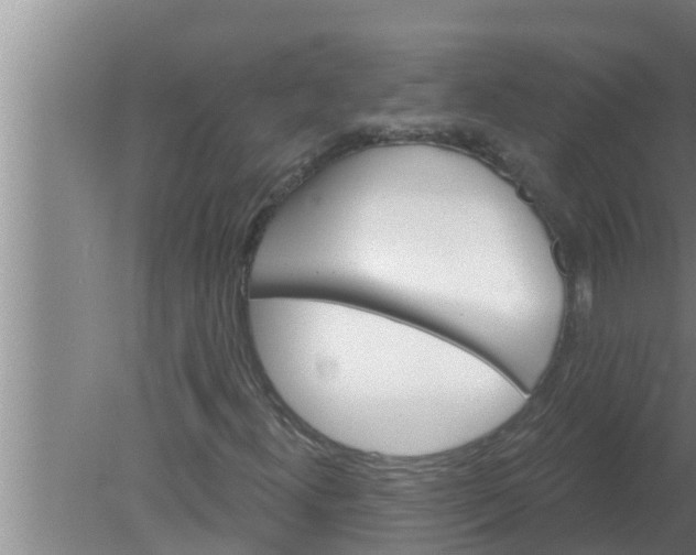 X0000080131300200612221847