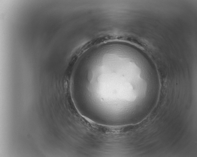 X0000080131302200612221847