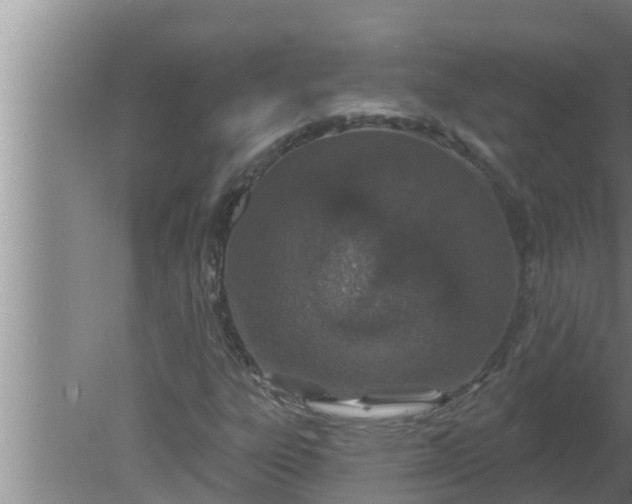 X0000080131303200612221847