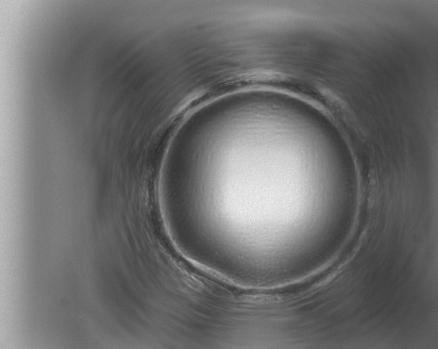 X0000080131305200612221847