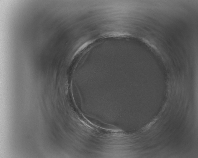 X0000080131306200612221847