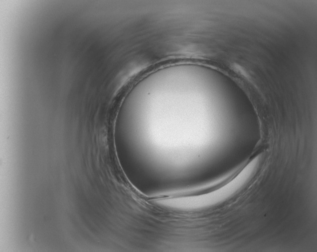 X0000080131307200612221847