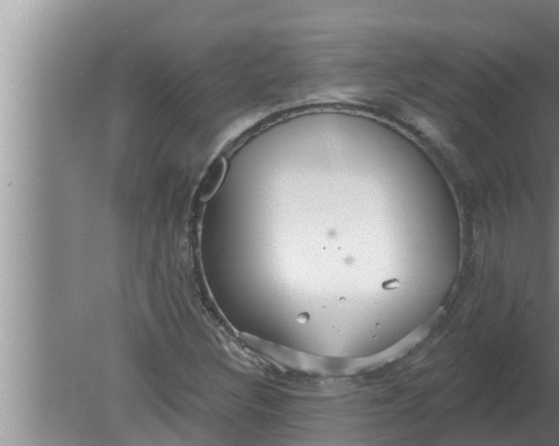 X0000080131308200612221847